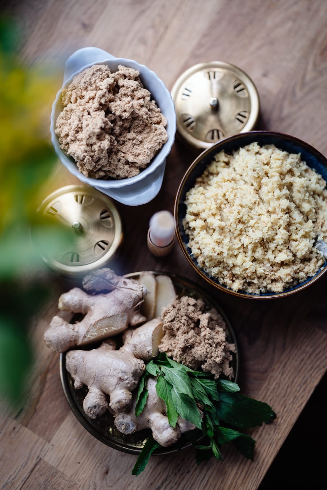 Moksa Smoka - galeria 14